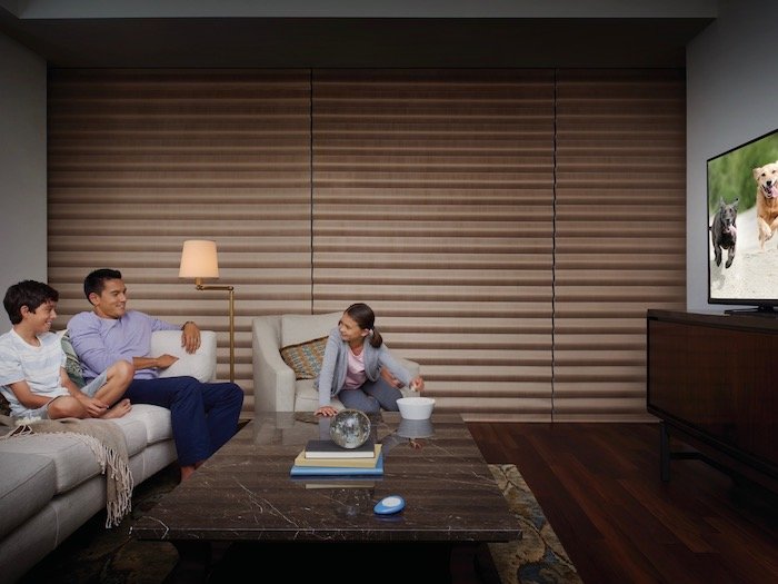 Pirouette® Window Shadings can be automated with PowerView®.