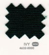 IVY-NEW-4632-0000