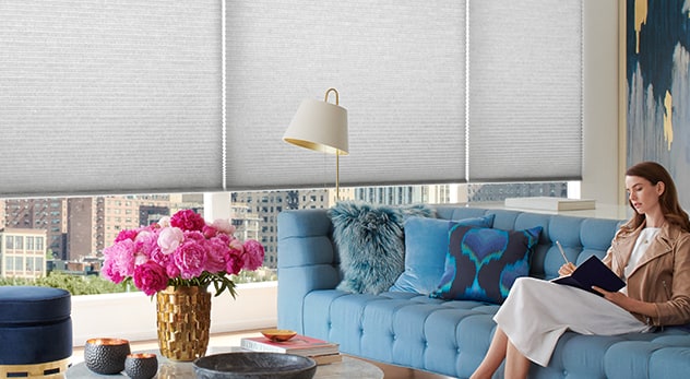 Cellular shades - Duette