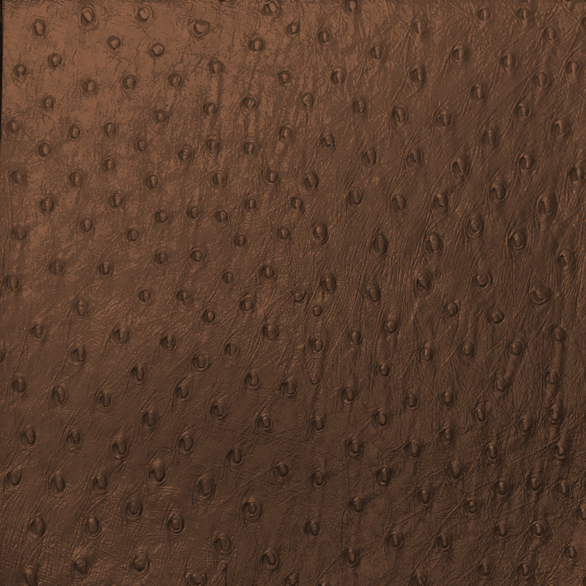 ostrich-penny