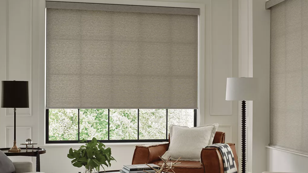 Screen shades - 2