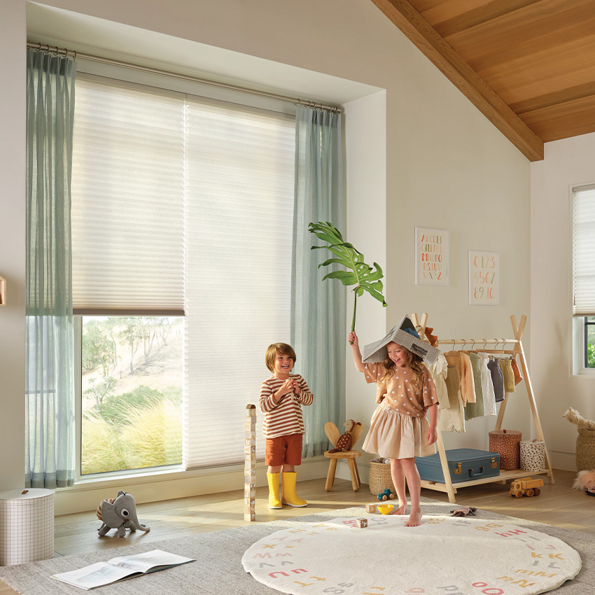 Shades & Blinds window covering