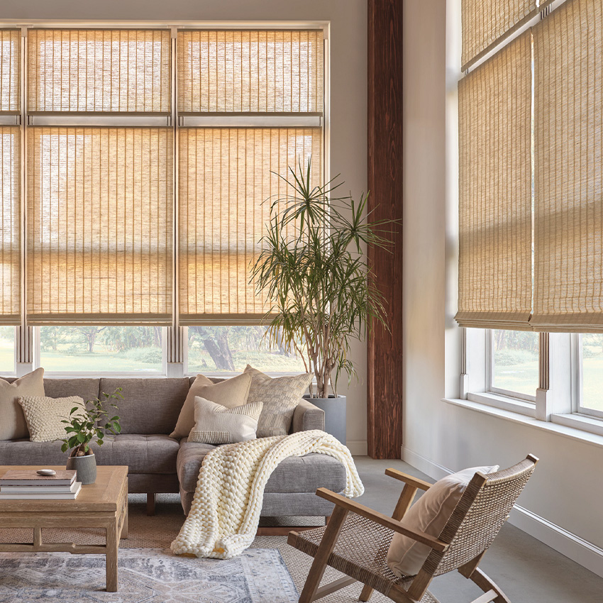 Shades & Blinds window covering