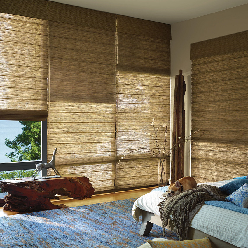 Shades & Blinds window covering