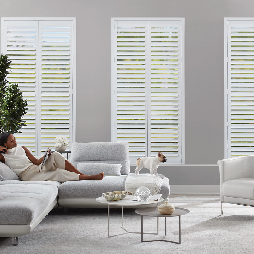 Shades & Blinds window covering