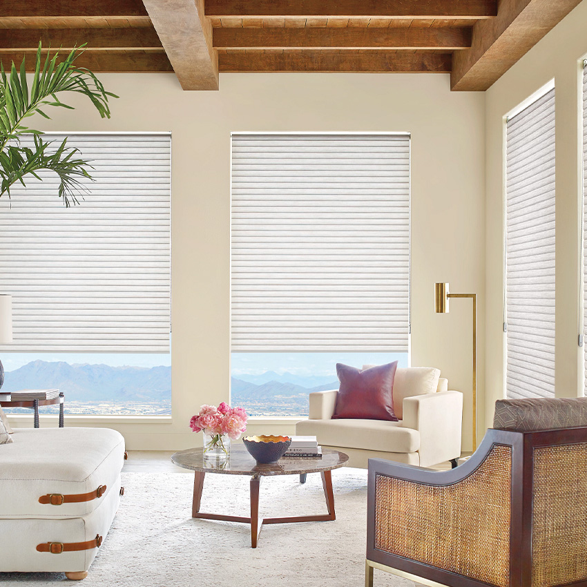 Shades & Blinds window covering
