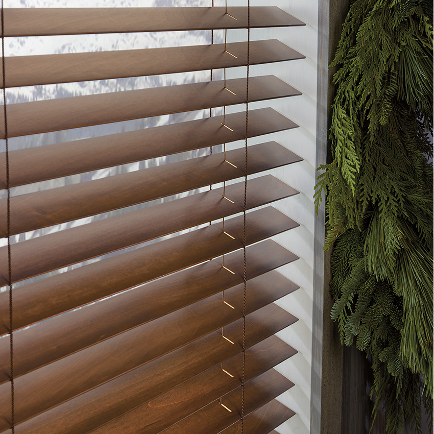 Shades & Blinds window covering