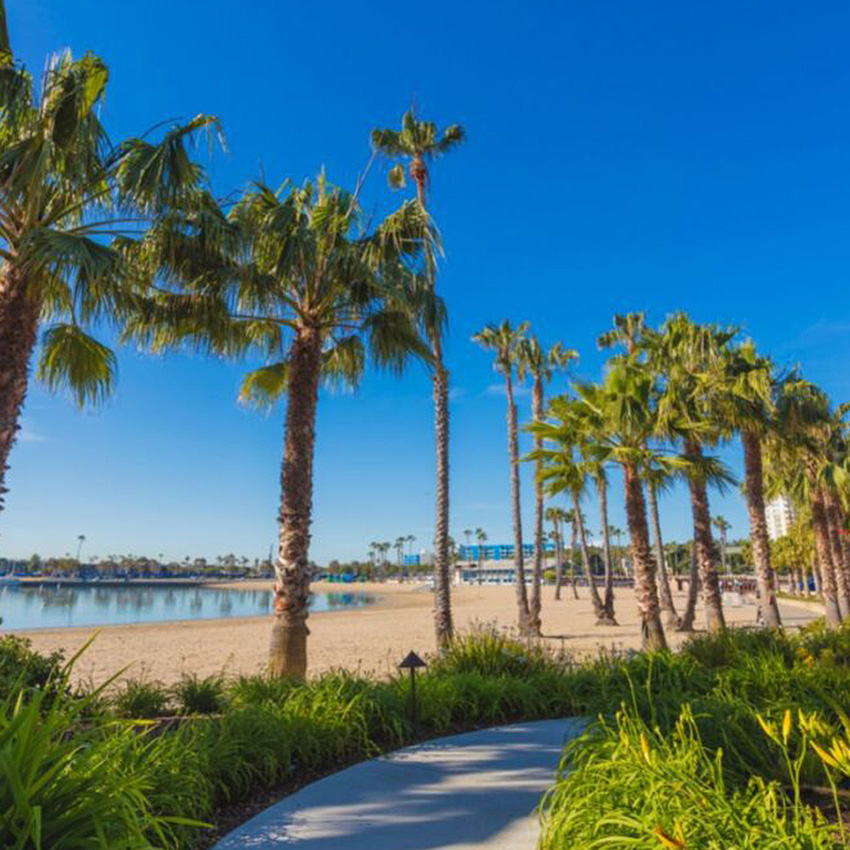 Marina del rey