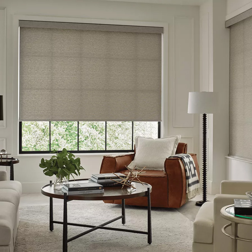 Roller shades - Window coverings