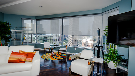 Roller shades - Window coverings